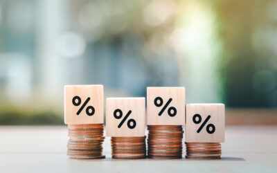 Taxe sur actifs non professionnels des sociétés holding patrimoniales : êtes-vous concerné ?